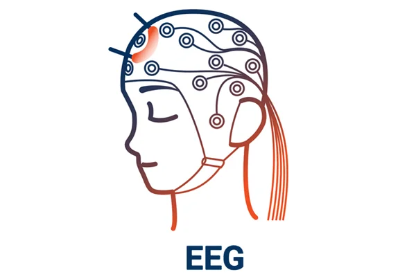 EEG Test